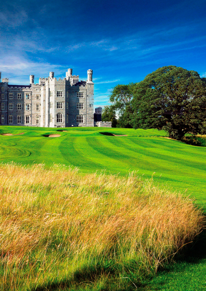 Killeen Castle, Parkland hidden gem